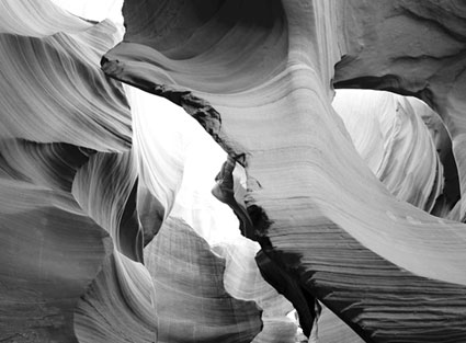 Nature1